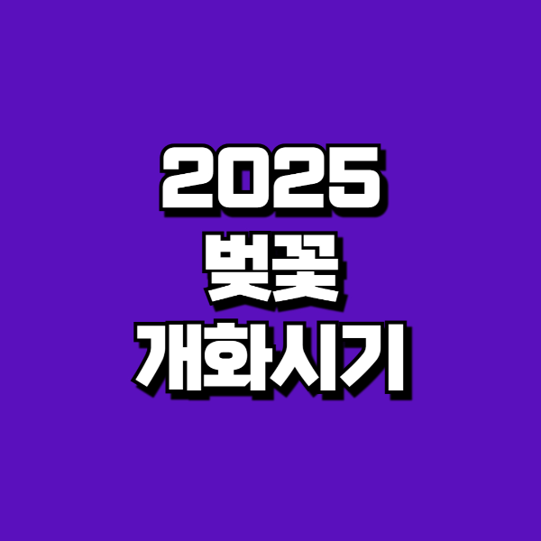 25년벚꽃개화시기