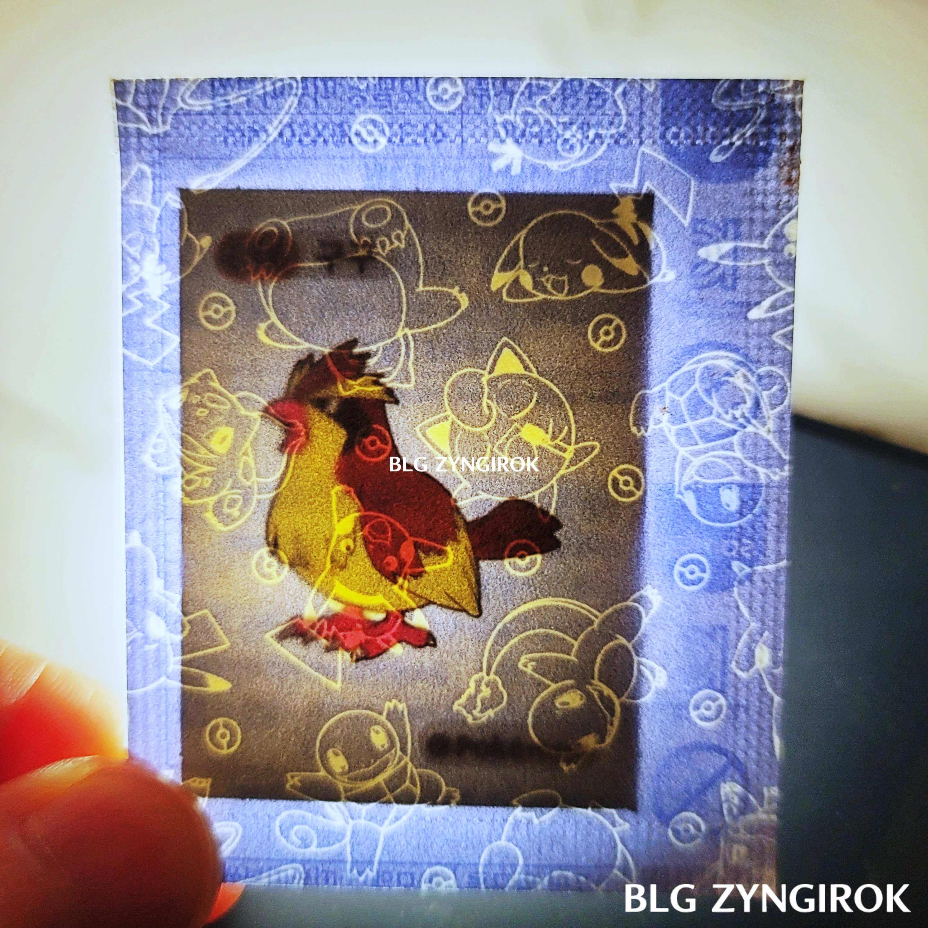 띠부띠부씰-구구를-들고있다.