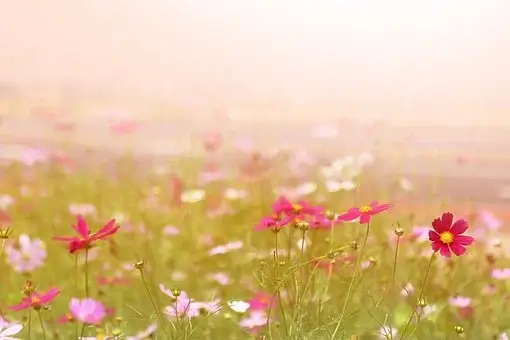 퇴직연금 수령방법