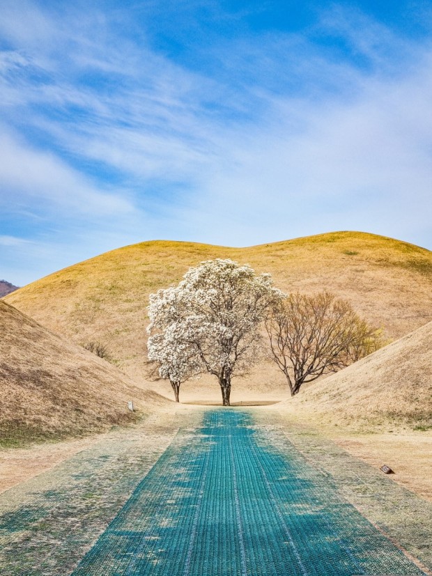 2024 경주 가볼만한곳 시내 유적지 왕릉 놀거리 2박3일 코스