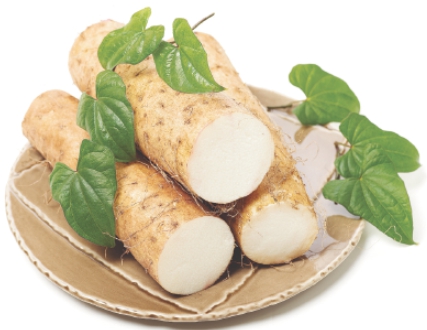 한국의 떡 종류 마꽃떡-마