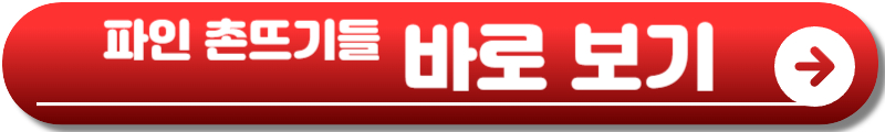 파인 촌뜨기들