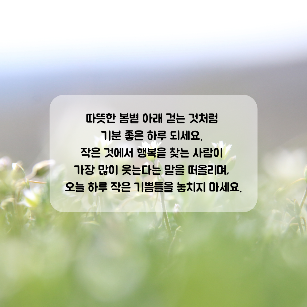 4월 인사말 문구 이미지 모음집 좋은글귀 봄 인사말