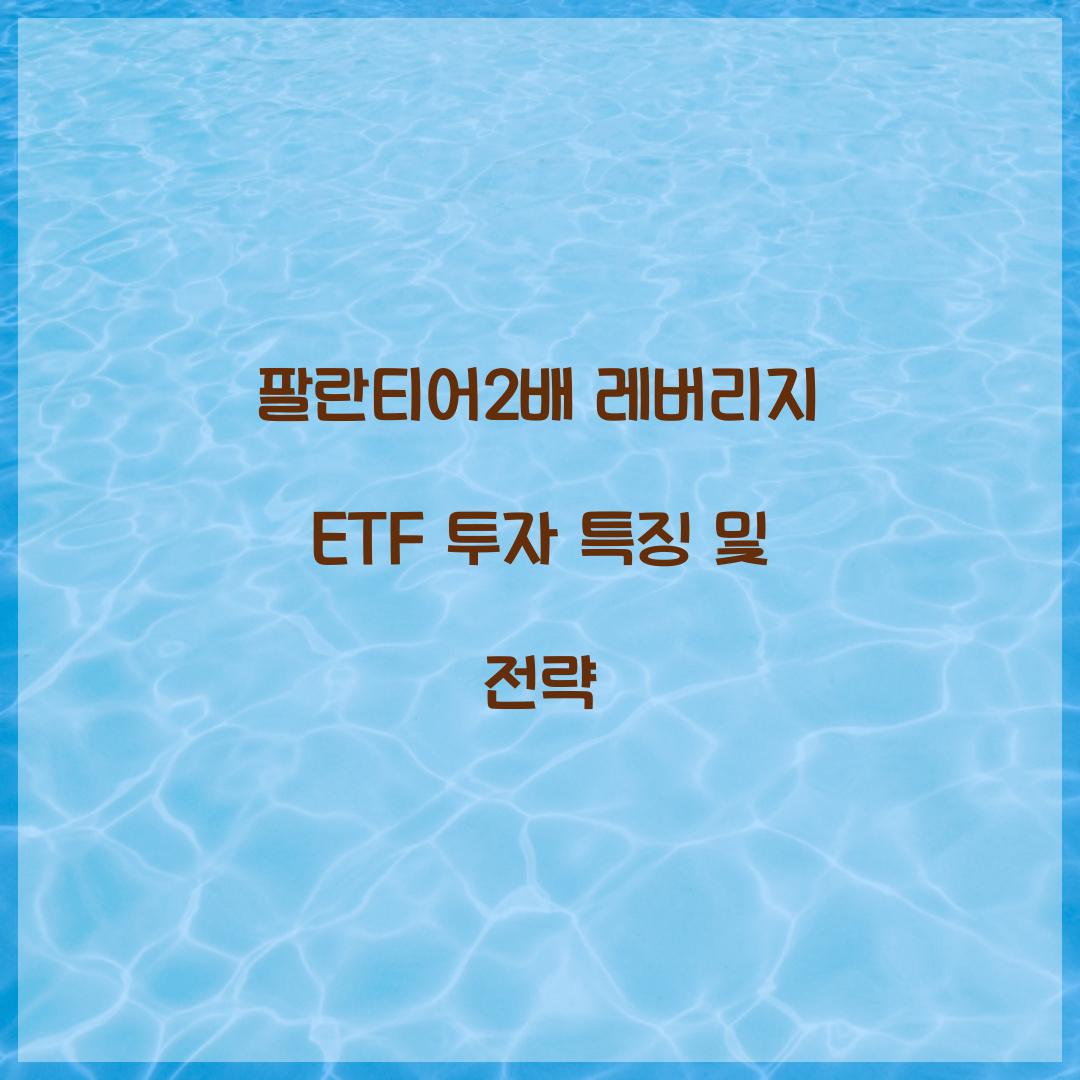 팔란티어2배