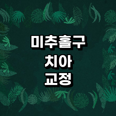 인천 미추홀구 교정 치과