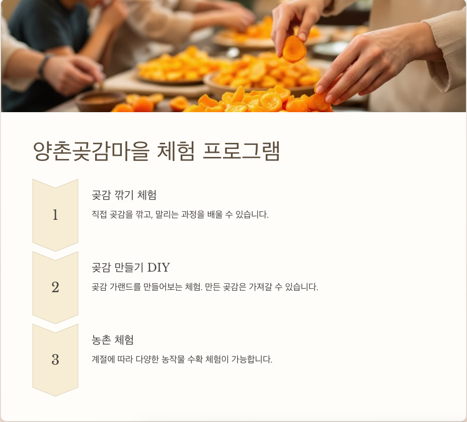 양촌곶감마을 근처 즐길거리와 추천 여행 코스 🍂