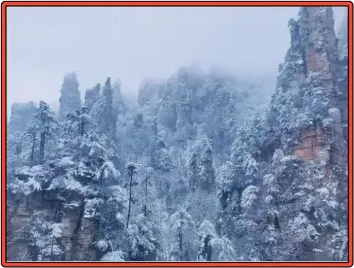우송과-눈으로-뒤덮인-천문산-봉우리