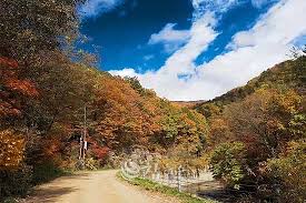 오대산 국립공원 1