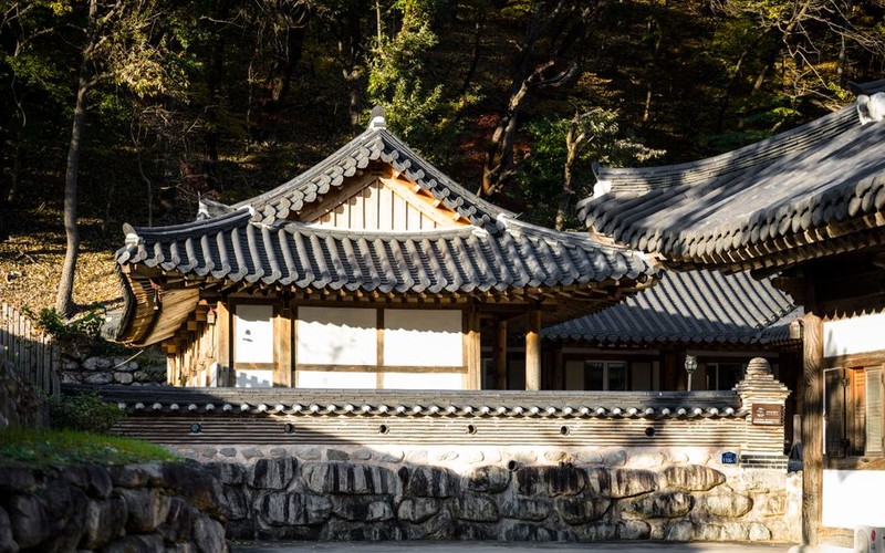 강원도 영월 당일치기 여행코스 추천: 청령포·장릉부터 한반도지형까지 실속
