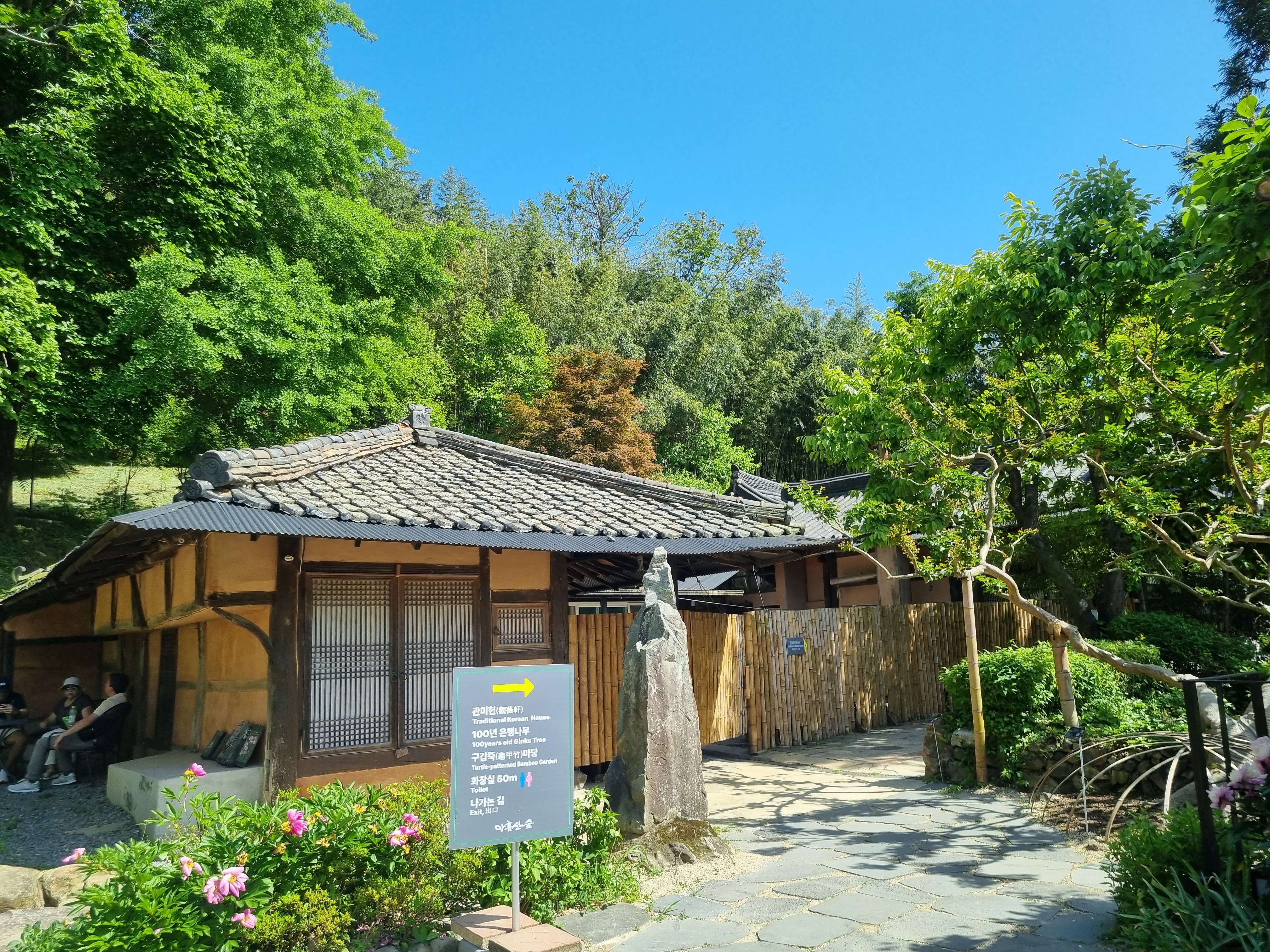 아홉산 숲