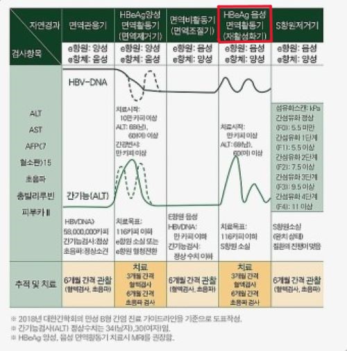 B형 간염 5단계 알아야 간암 안 걸려요!