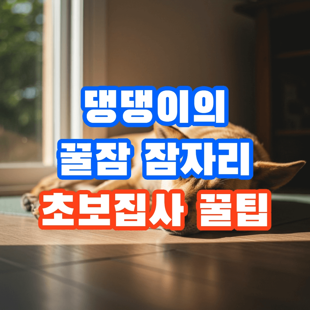 반려견의 꿀잠 잠자리 준비, 초보 주인이 알아두어야 할 필수 꿀팁5가지🐶