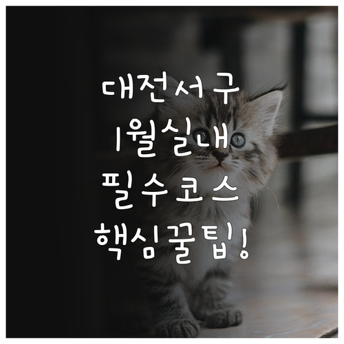 대전 서구 1월 실내 나들이 추천 장..