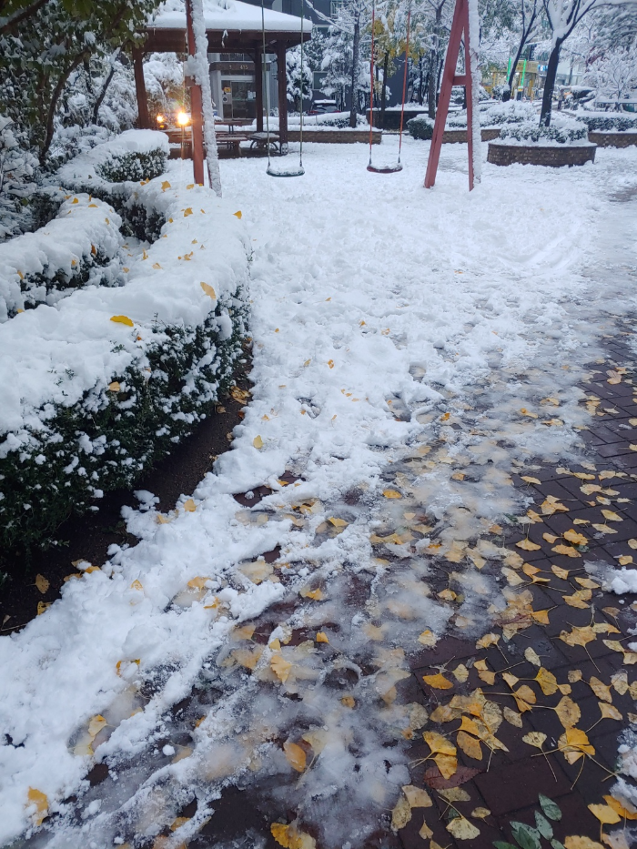 경기도-시흥시-은행동-첫눈