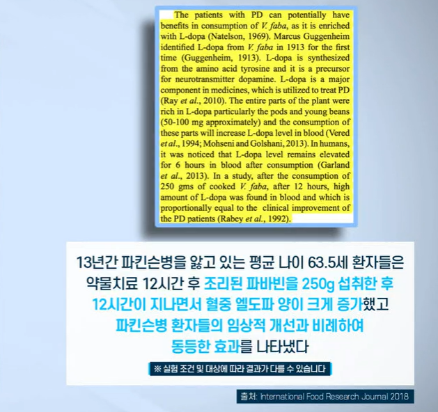 자이언트 파바빈 효능