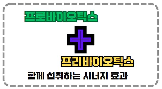 프로바이오틱스와 프리바이오틱스를 함께 섭취하는 시너지 효과