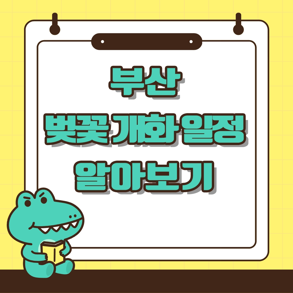 부산 벚꽃 개화시기