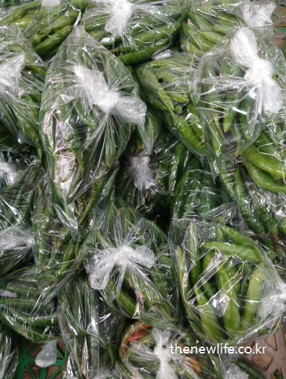 Bags of fresh green peppers helpful for reducing abdominal fat / 복부비만을 줄이는데 도움이 되는 포장된 신선한 풋고추 있는 모습