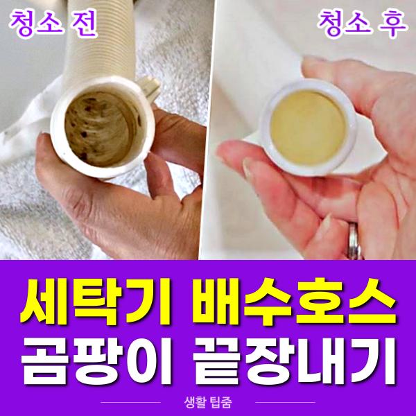 세탁기 배수호스 청소, 곰팡이 냄새 제거, 팁줌