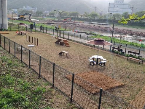 용인 반려견 놀이터