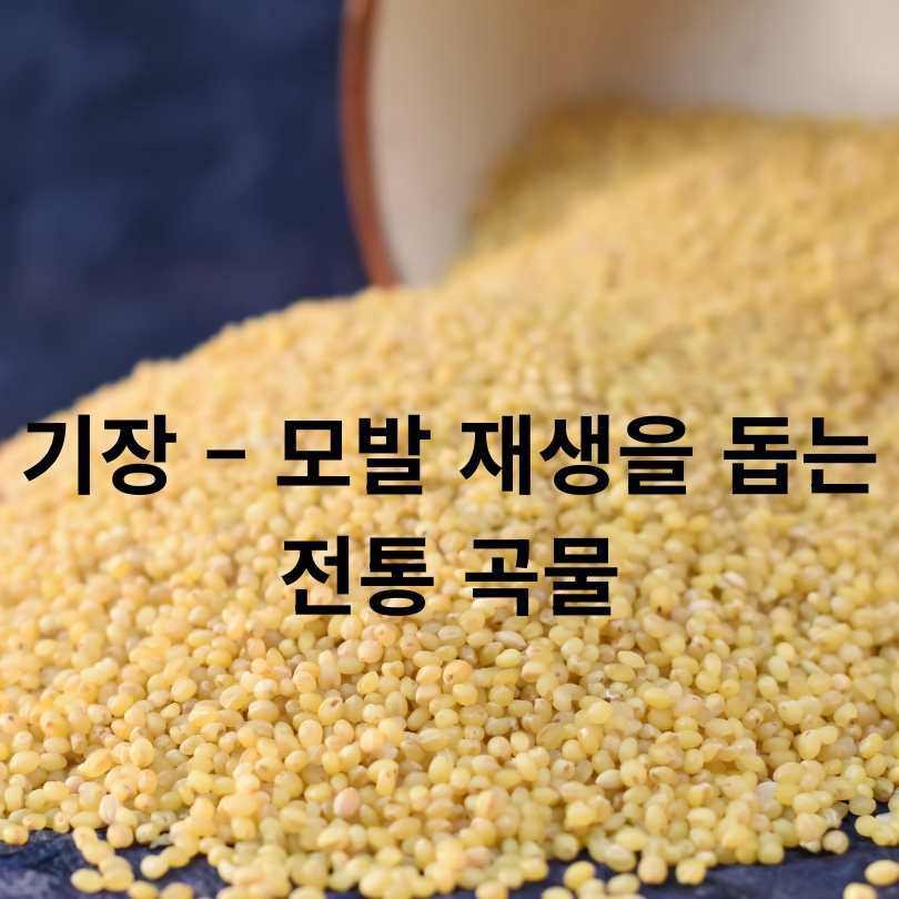 탈모에 좋은 음식 총정리!