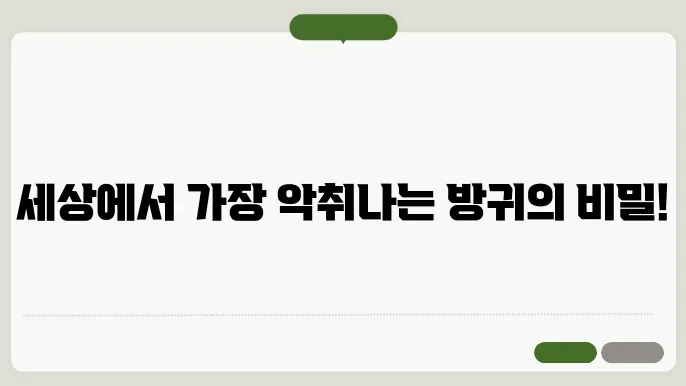 냄새나는 방귀