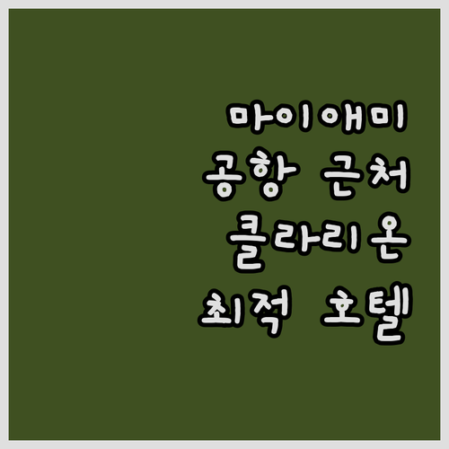 마이애미 공항 근처 호텔 추천 클라리..