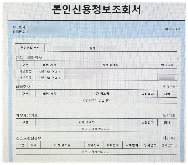 신용정보조회서 발급 안내