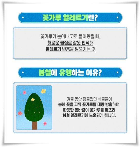 "꽃가루 알레르기" 꽃보다 알레르기로 고생하는 분을 위한 생존 가이드!