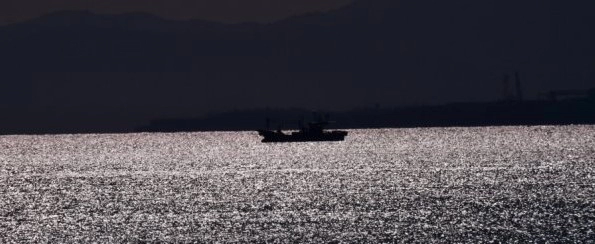 목선 귀순 이유와 군 경계작전 구멍 상황 