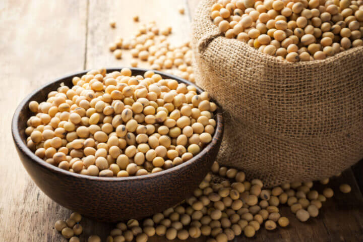 그릇에-담겨진-콩