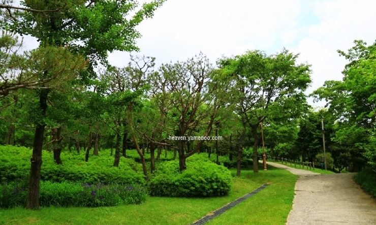 부여 가볼만한곳 베스트10