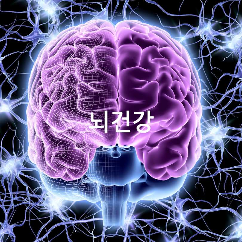 커큐민 효능 부작용