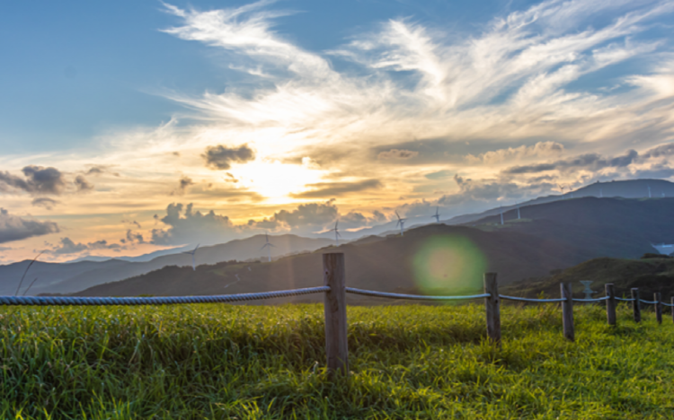 대관령 하늘목장