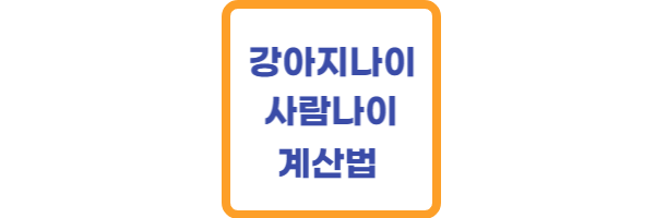 강아지 나이 사람나이