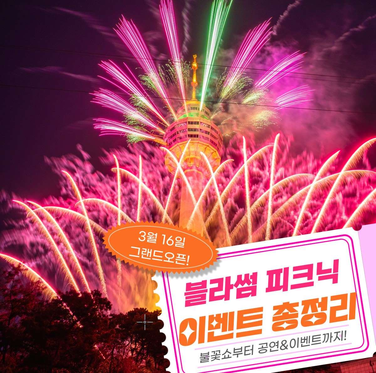 블라썸피크닉