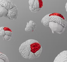 포스파티딜 세린 효능 음식 추천 부작용