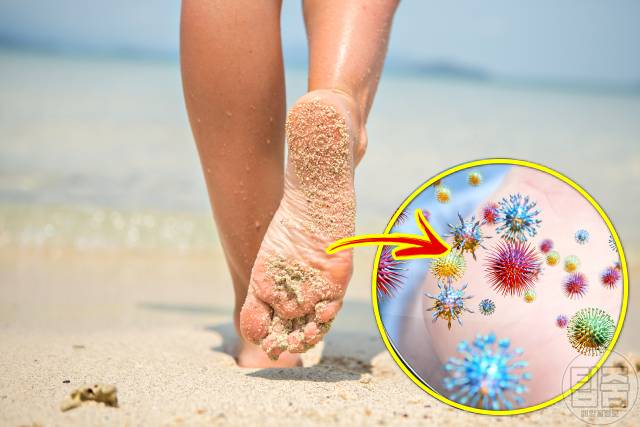 아침샤워 저녁샤워 효능 피부과전문의 매일샤워 일주일 샤워횟수