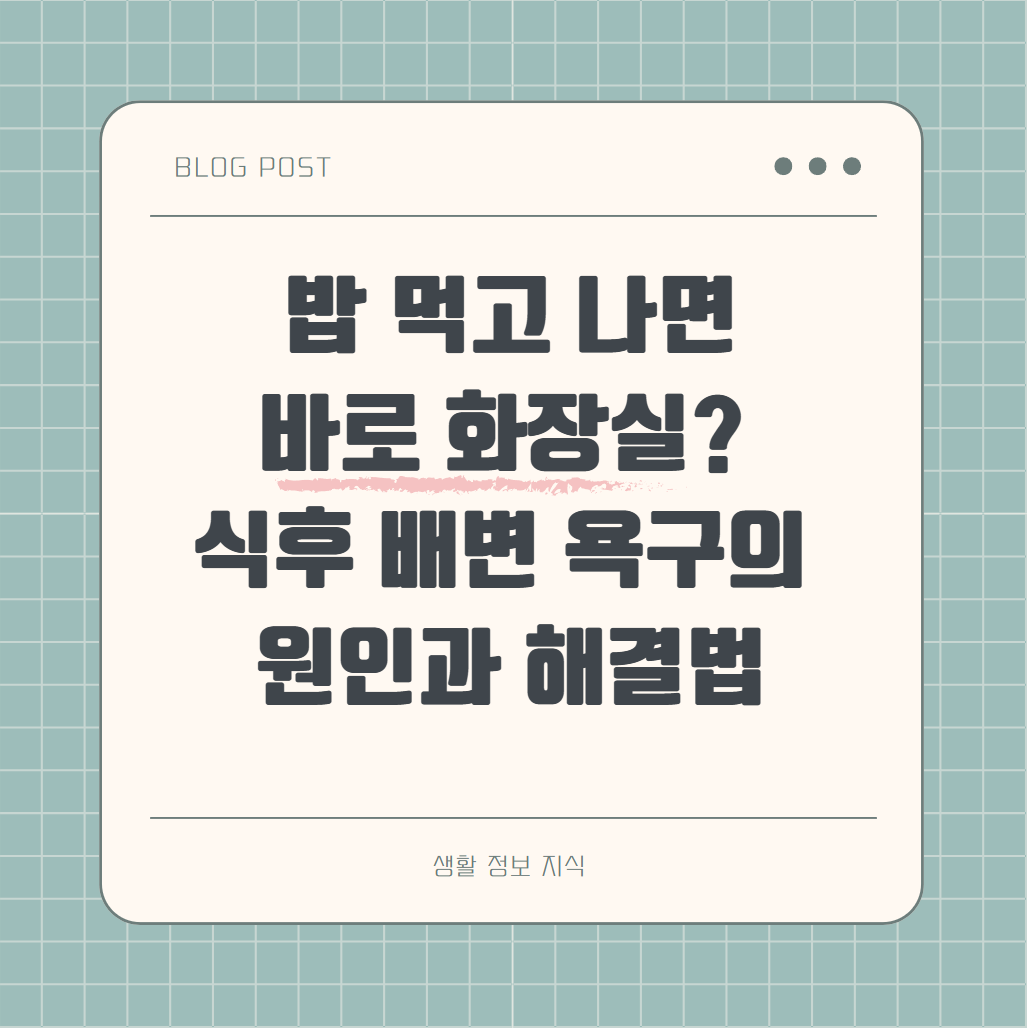 밥 먹고 나면 바로 화장실가는 원인과 해결법