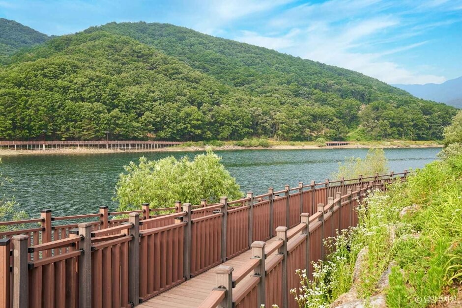 남양주 가볼만한곳 베스트 10