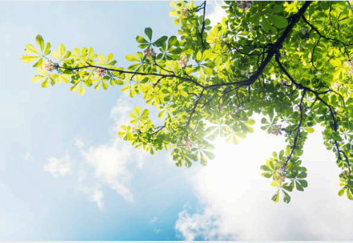 50대 체력 회복, 일상에서 쉽게 실천하는 방법 (2025년 기준)