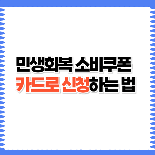 소비쿠폰 카드로 신청하는 방법 단계별 가이드