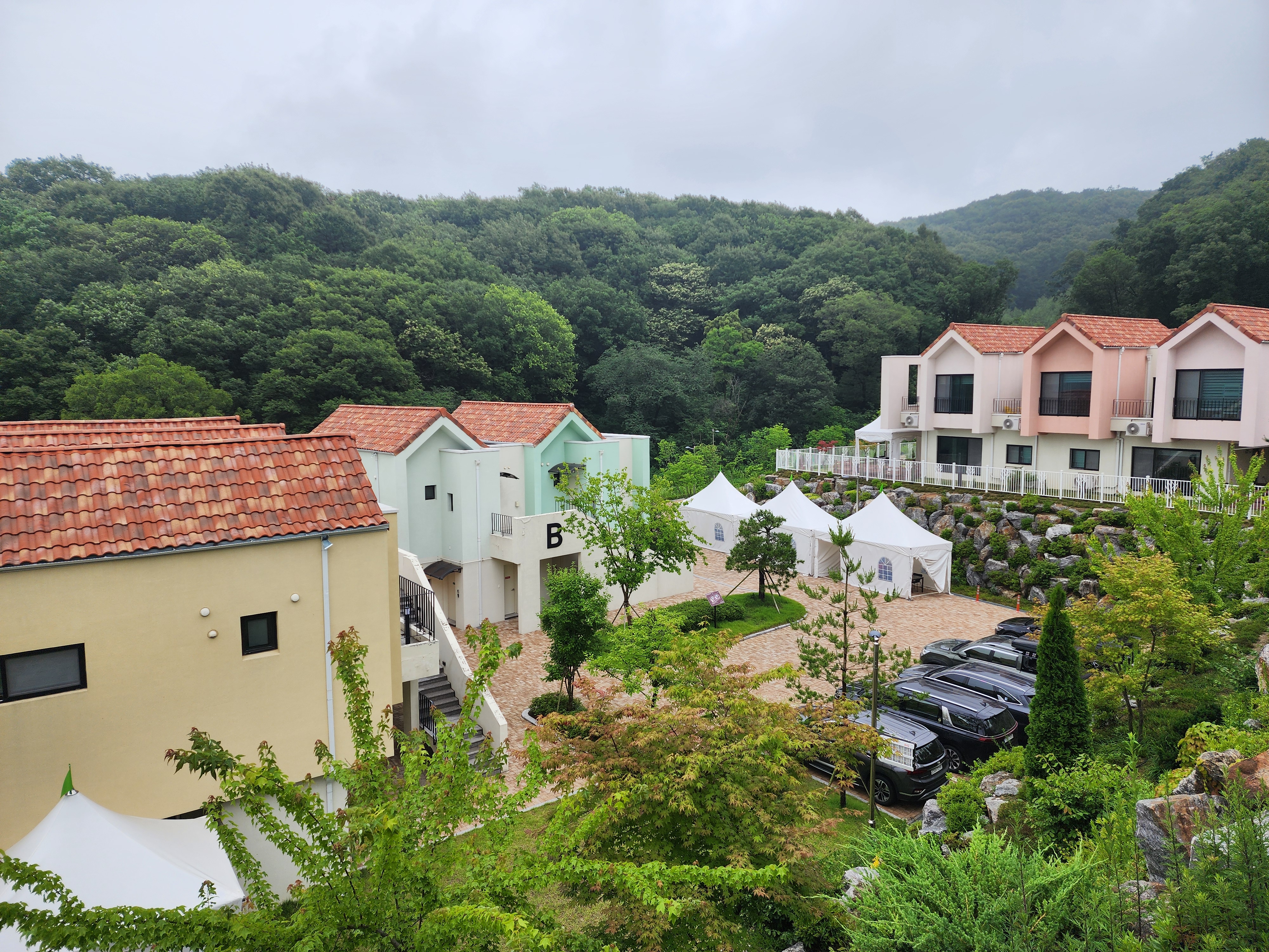 베툴라 in 용인