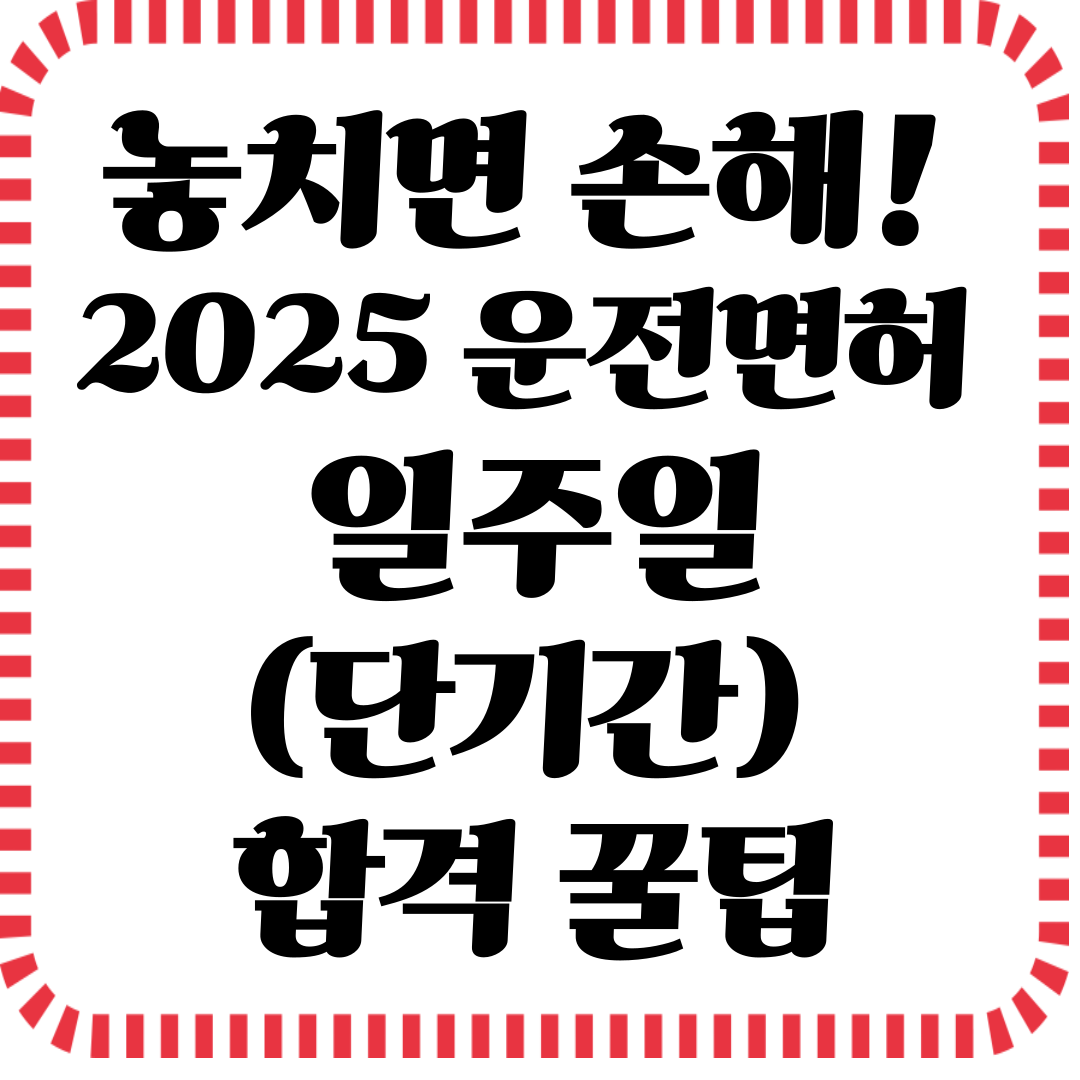 운전면허 단기합격 전략: 관련사진