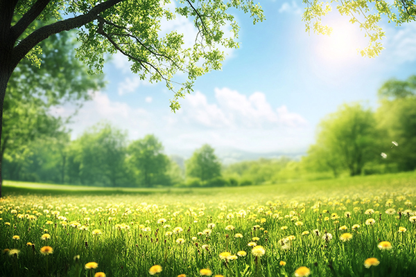 탄소중립포인트