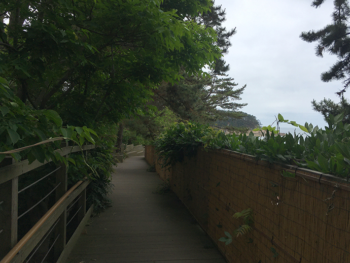 수목원-옆-바닷길