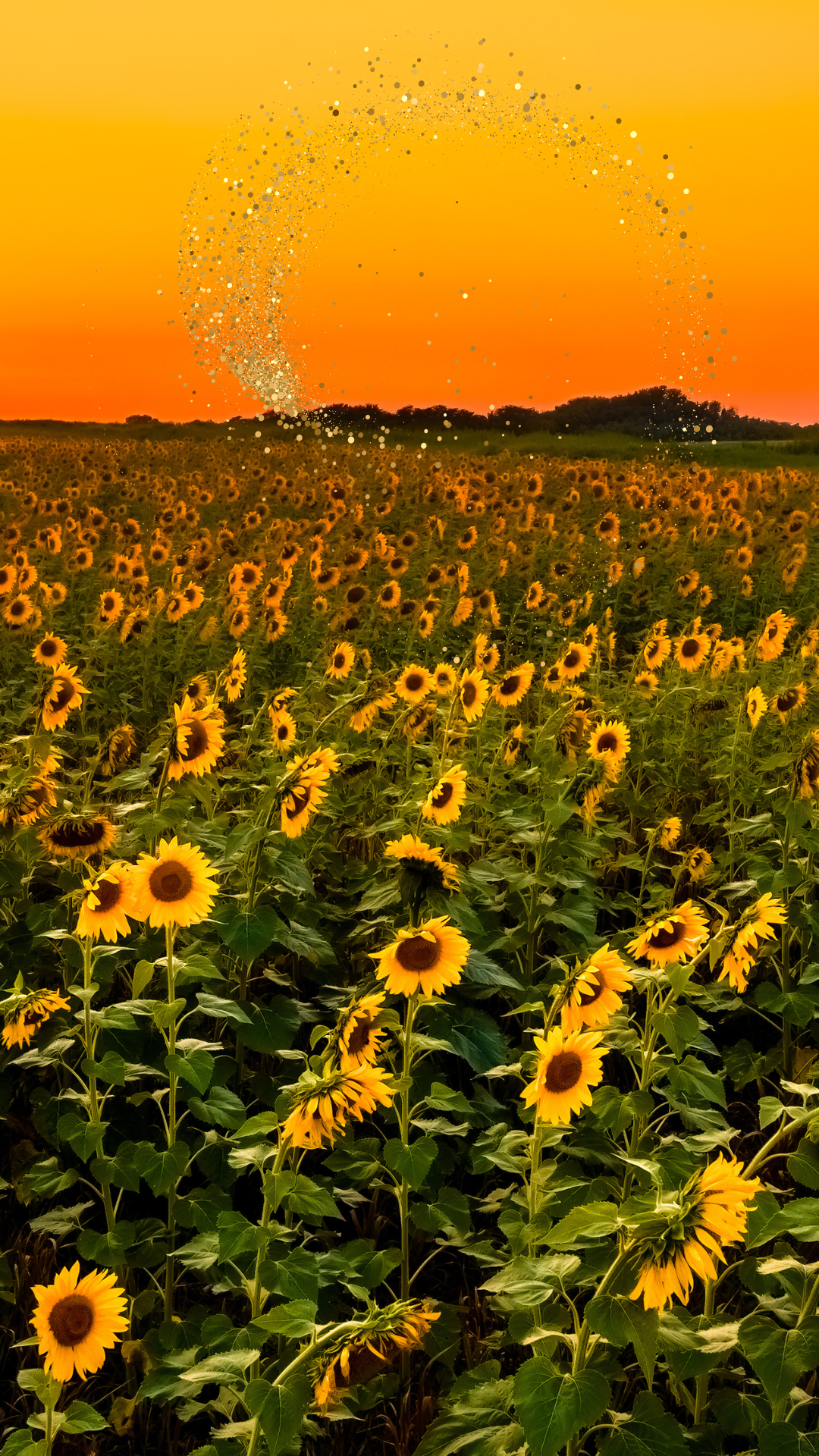 돈들어오는 그림 배경화면 사진