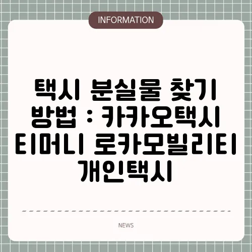 택시 분실물 찾기 방법 : 카카오택시 티머니 로카모빌리티 개인택시