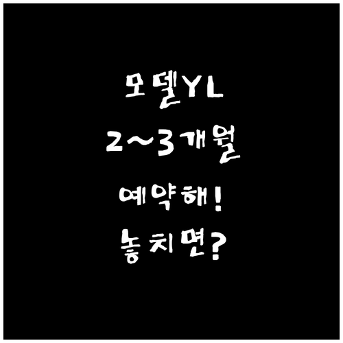 모델 YL 출고 대기 2~3개월 지금..