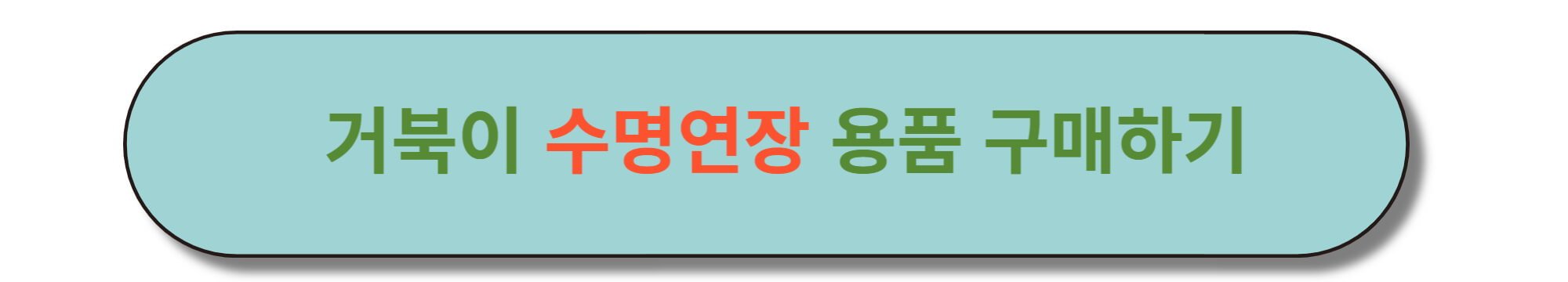 거북이 수명